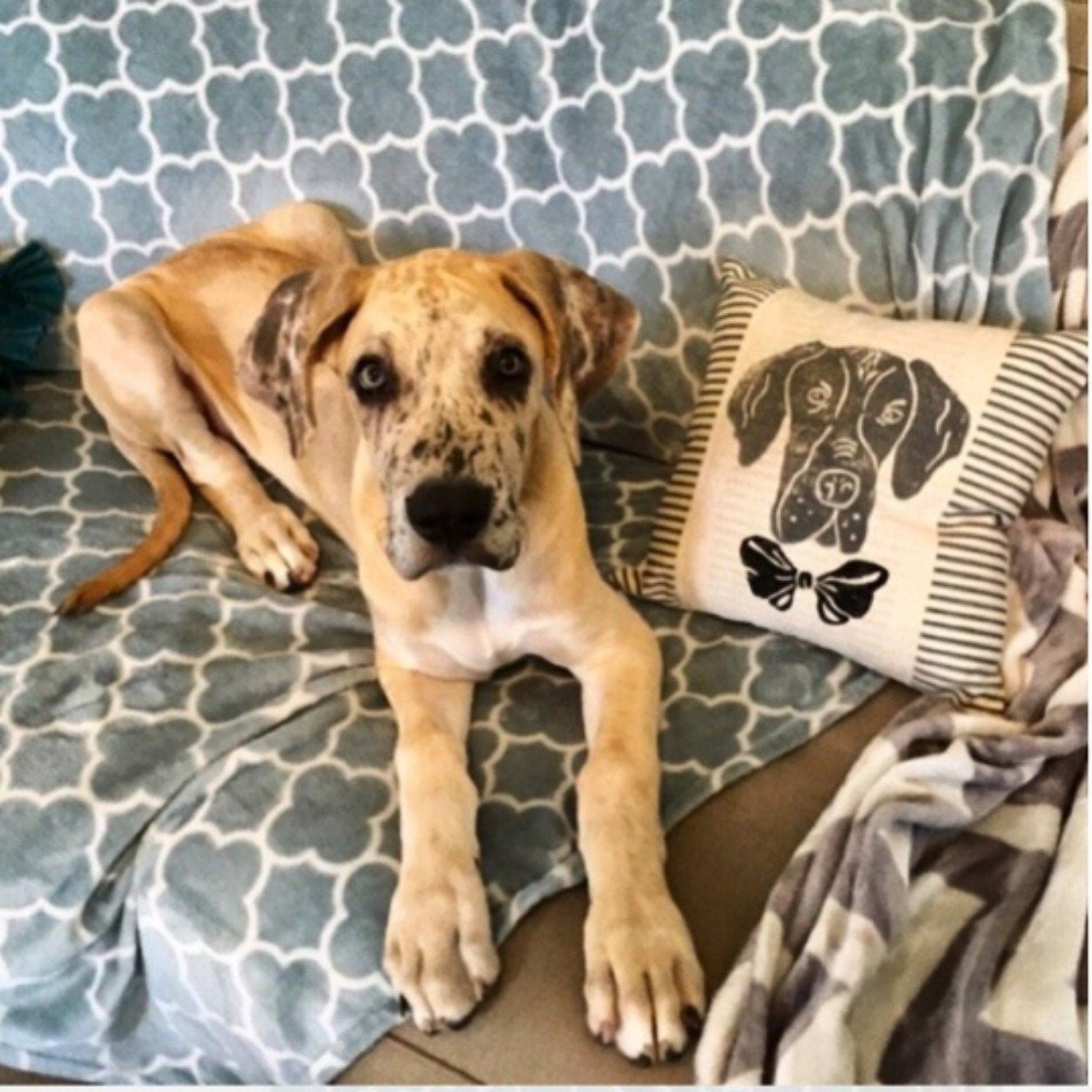 Hand Block Print Dane Pillow Cover – Ticking Fabric Cushion